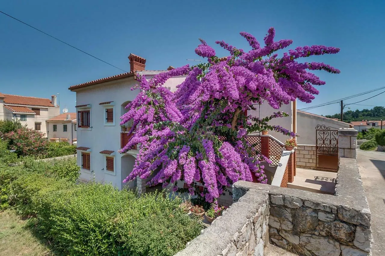 Bugenvilia Mali Lošinj